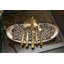 Lucca Faceted Salad/Dessert Fork