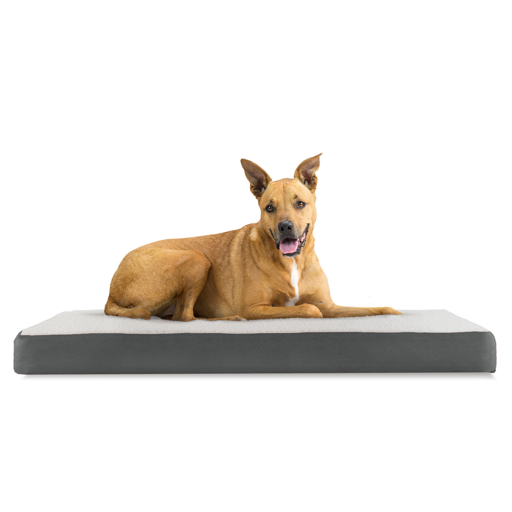 FurHaven Orthopedic Polyester Pet Bed & Reviews Wayfair