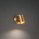 Kepler Single Light Glass Dimmable LED Spotlight