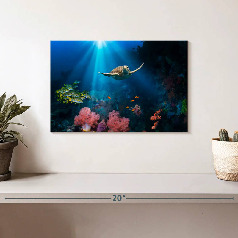 Brampt Ocean Underwater, 8" H x 12" W