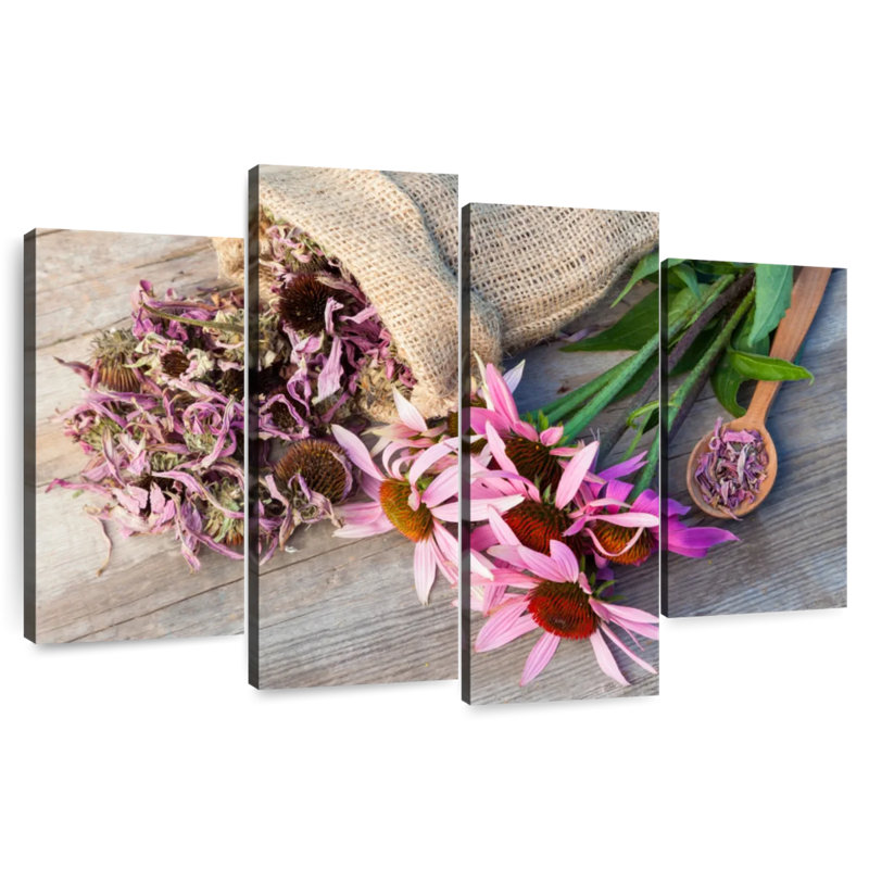 Harnek coneflowers et échinacée séchée, H 48 po x l 75 po