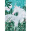 Unicorn At Night - Wrapped Canvas Print-920690524