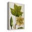 Arbres à fleurs antiques IV - peinture sur toile tendue-467998676