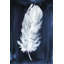 Indigo Feathers I Print by Barclay Butera-30726355-30726356