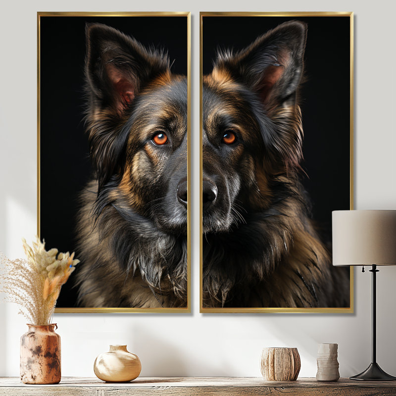Chien, berger allemand, 40" H x 40" W, Impression encadrée flottante, Gold