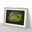 Road Through The Forest - Picture Frame Graphic Art-56876095-56876096