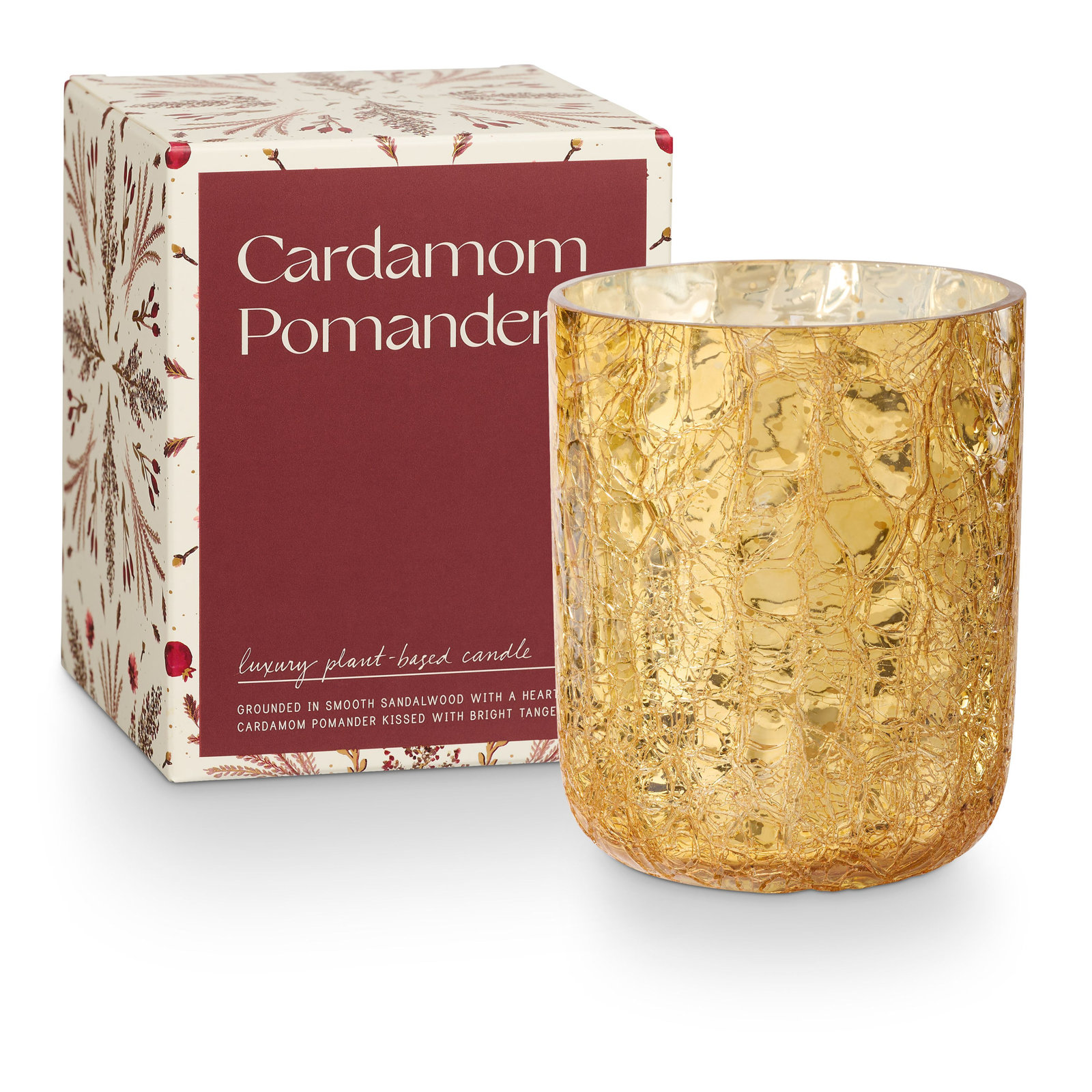 Cardamom Pomander Tin Candle, Gold Statement Glass