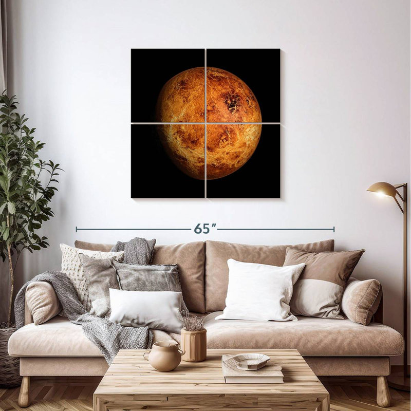 Oberle Venus Close Up, 38" H x 38" W