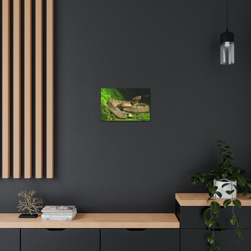 Art mural majestueux serpent, H 12 po x l 18 po