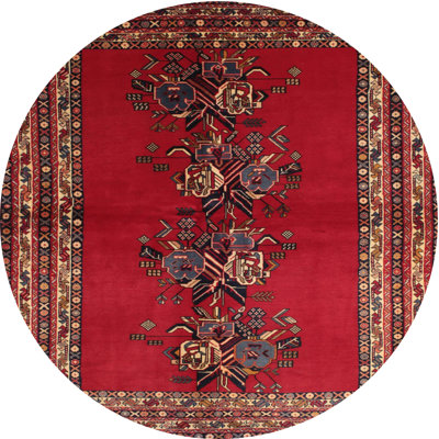 Oriental Indoor Rug