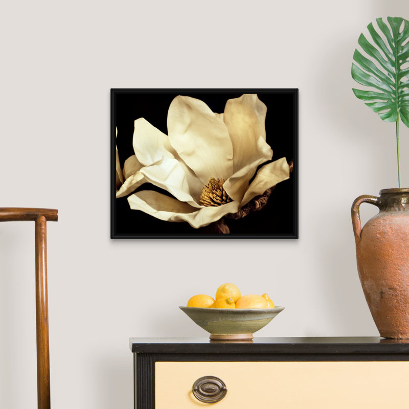 «Buttercream Magnolia I», art mural sur toile, H 20 po x l 16 po x P 1,75 po, Cadre noir