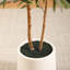 Adcock Artificial Olive Tree with White Planter, Tall Faux Olive Trees with Natural Wood Trunk-289540603