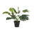 15.55'' Faux Monstera Plant in Pot