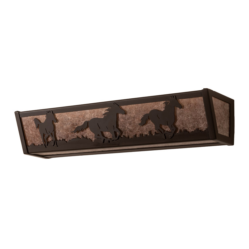 Éclairage pour salle de bain 24 po, H 4,5 po x l 24 po x P 5,5 po, Argent argent, Bronze frotté à l'huile