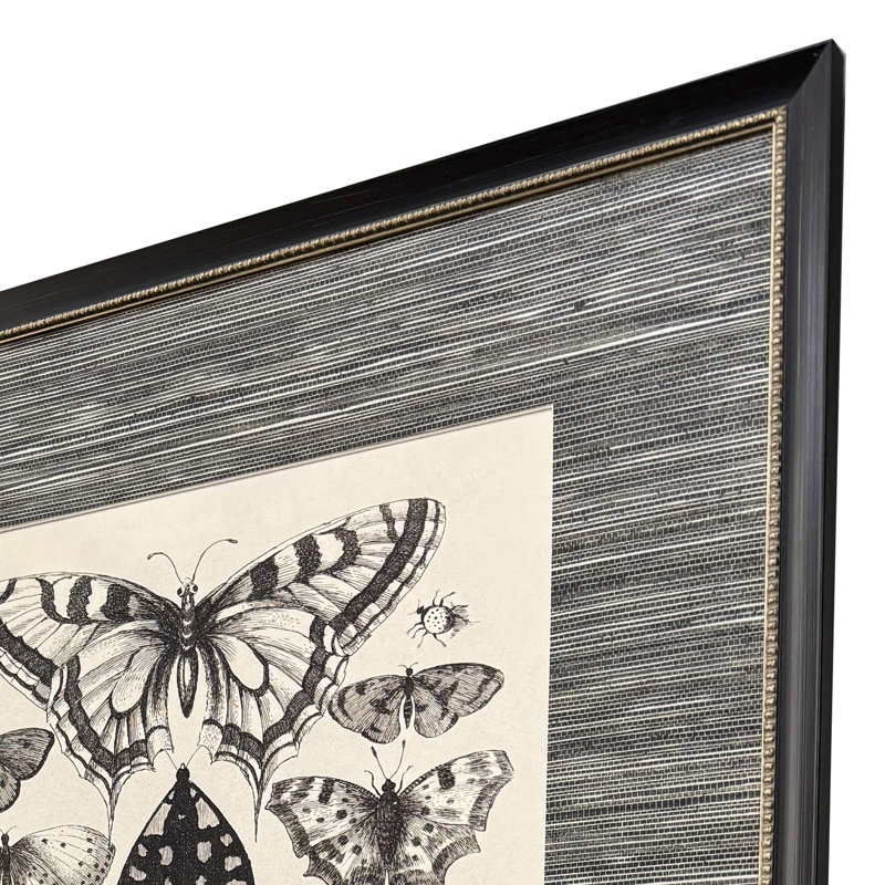 Anthropod Collection Framed Art