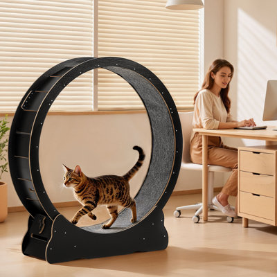 141.5 cm H Cat Tree
