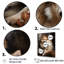 Chien Akita Affection II - impression-1601808197-1601808235