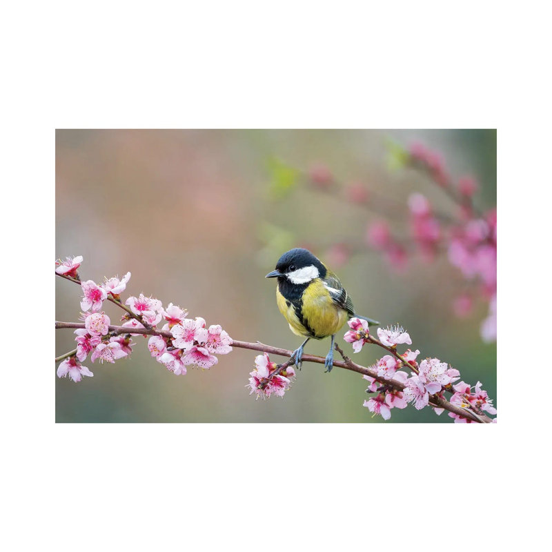 MTU154 - Mésange charbonnière au printemps, H 26 po x l 40 po x 1,5 po