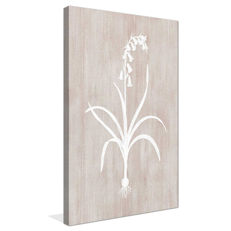 Botany Beauty I - Peinture, L 18 po x H 30 po, Toile tendue