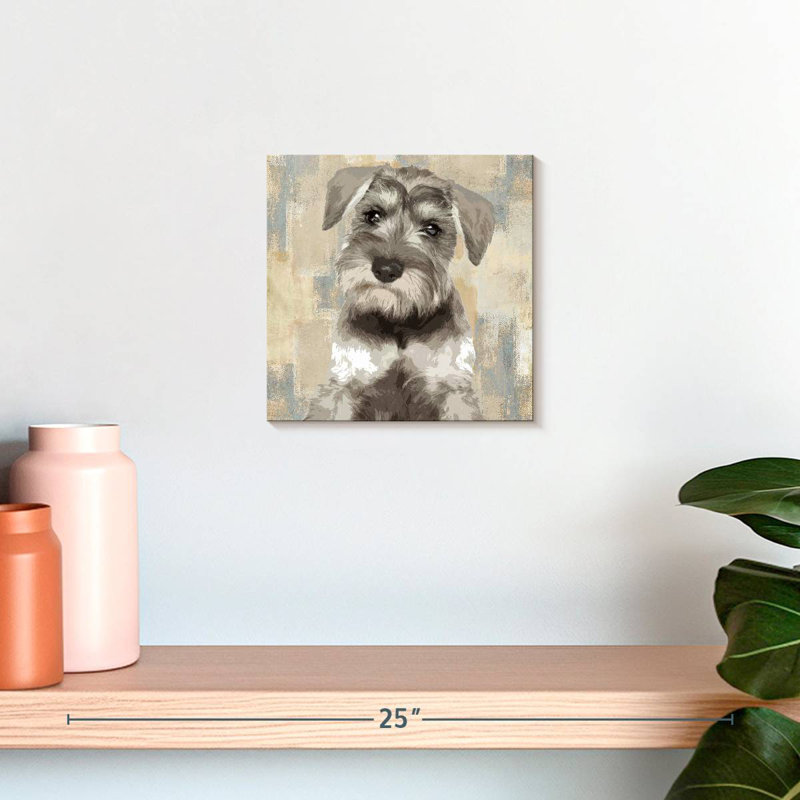 Crowle Miniature Schnauzer, 10" H x 10" W