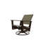 Wexler Outdoor Swivel Lounge Chair-1099678792-1102391102