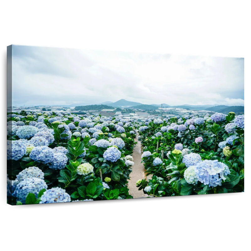 Alvord Hydrangea Farm, 16'' H x 24'' W