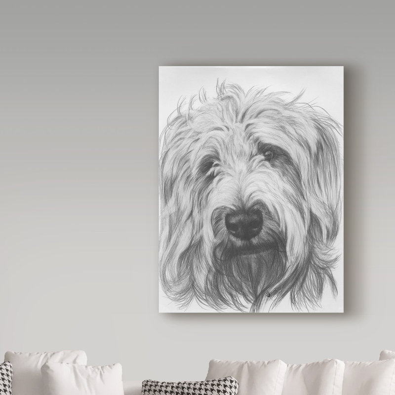 Publicité rétro sur toile tendue Adelphi «Labradoodle», H 24 po x l 18 po