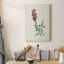 «Traditional Botanical I», impression sur toile tendue-1236080320