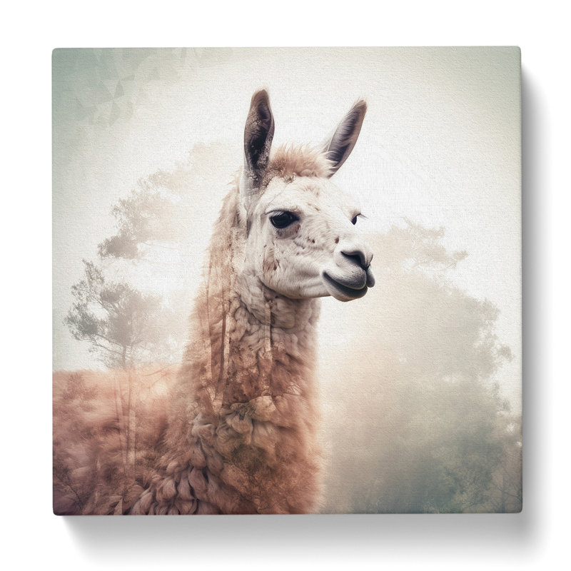 Llama Double Exposure - No Frame Print, 35cm H x 35cm W x 3cm D