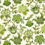 Schumacher x Celerie Kemble Hothouse Flowers Fabric-35102822