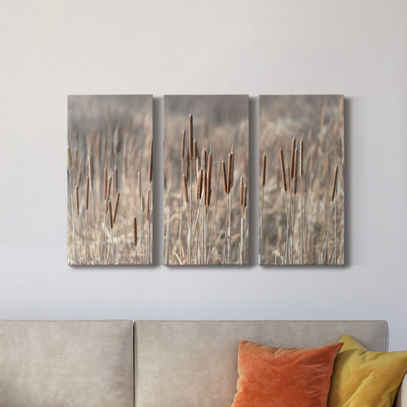 Summer Tails - Ensemble de 3 photographies sur toile tendue, H 27 po x l 54 po x P 1 po