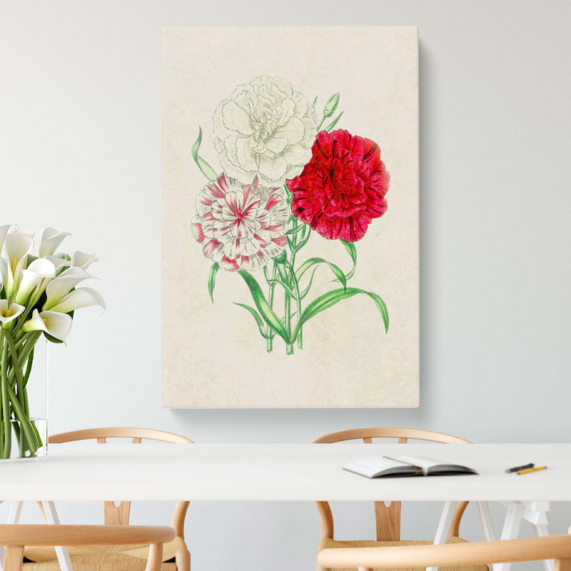 Illustration Of Three Carnation Flowers - Wrapped Canvas Painting, 60cm H x 40cm W x 3cm D