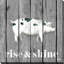 «Wood Farm Gray II», impression-31937903-31474982