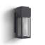 Cybil Single Light Glass Dimmable Flush Mounted Sconce-1916279107