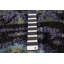 Tapis noir 2 pi 6 po x 10 pi 3 po One-of-a-Kind