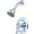 Polished Chrome