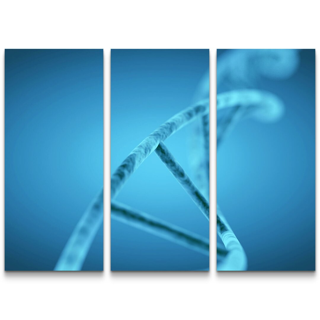 3-tlg. Leinwandbilder-Set Dna