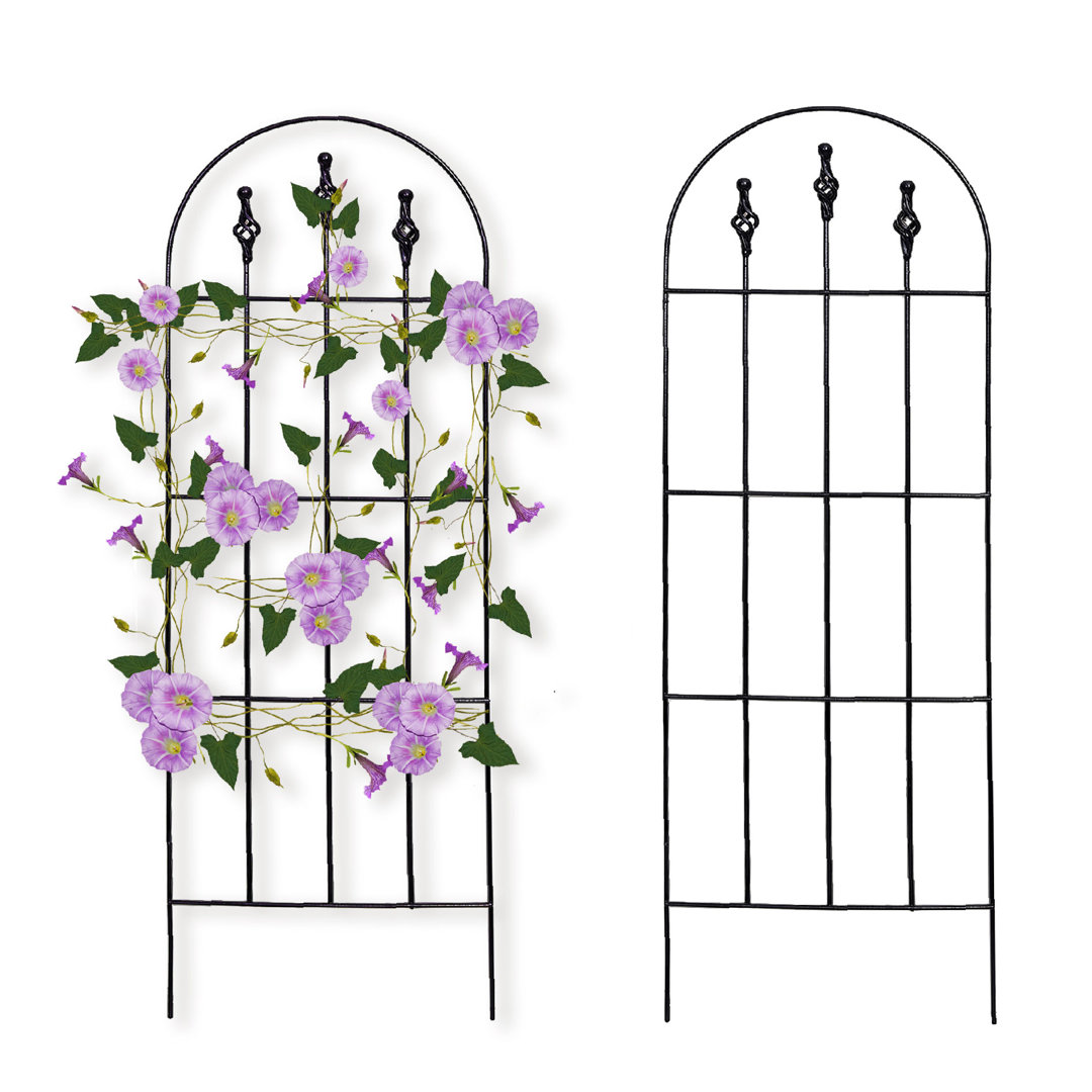 48" H x 16" W Garden Trellis, Iron Lattice Panel for Climbing Plants Support (Set of 2) Red Barrel Studio®