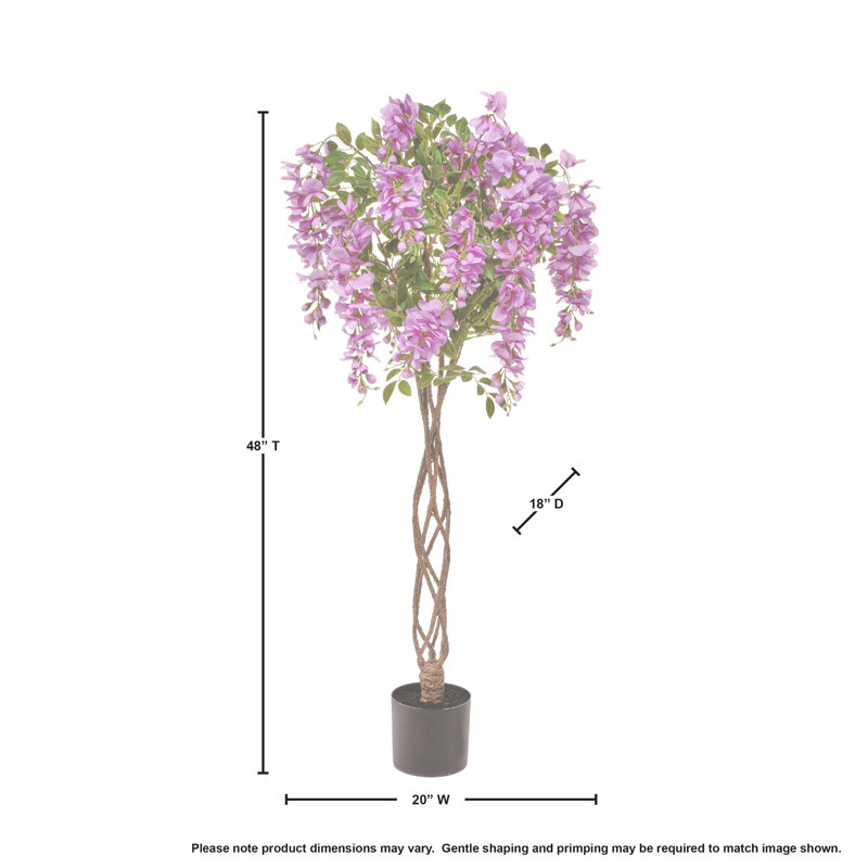 Arbre en pot 48 po Wisteria, Mauve