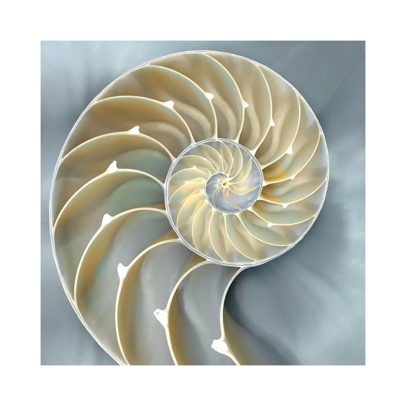 Nautilus In Blue I, 45.72 cm H x 45.72 cm W x 1.91 cm D, Wrapped Canvas