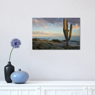 Saguaro Cactus At Beach, Cabo San Lucas, Mexico by Tim Fitzharris - Wrapped Canvas Print