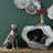 Labrador, Sitting