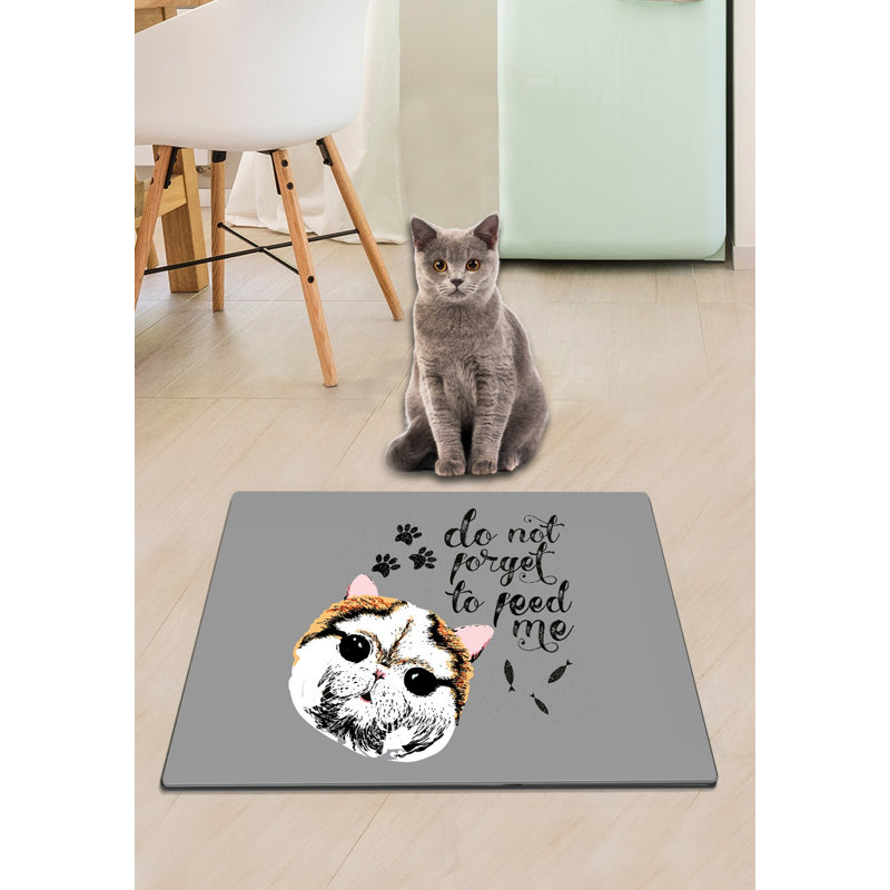 Cat Litter Mat