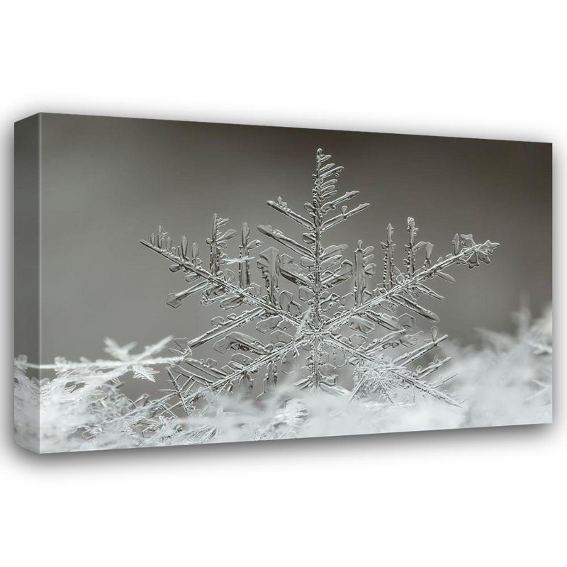 «Lark Manor ™ Naidandorj, art sur toile tendue avec la galerie Tsolmon: flocon de neige, H 33 po x l 48 po