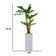 Artificial Banana Leaf Tree In A Square Beige Fiberstone Planter