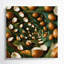 «Hawaiian Kukui Nuts», art mural sur toile brune-823647947