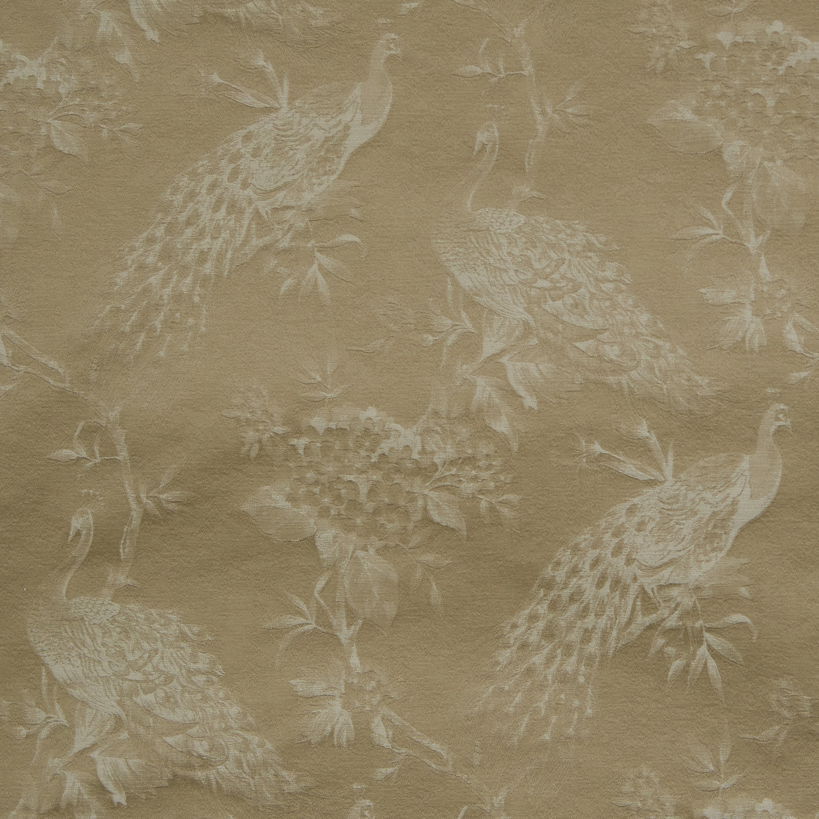 Serafina Peacock Jacquard Curtain in Parchment, Single, Rod Pocket, 50" W x 96" L