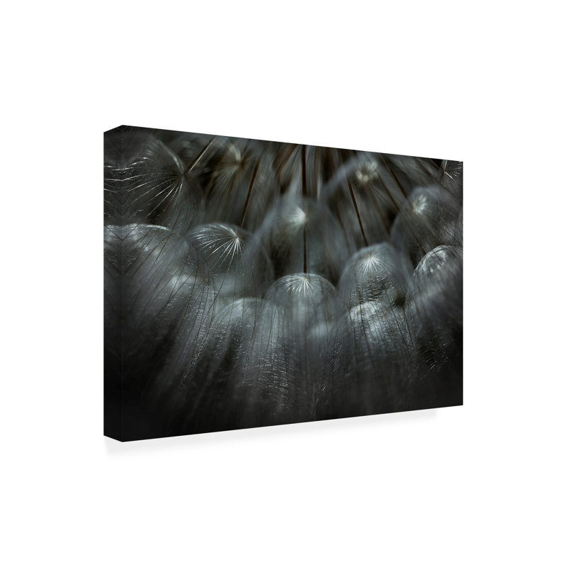 «Soffione» par Antonio Grambone, impression sur toile tendue, H 12 po x l 19 po x P 2 po
