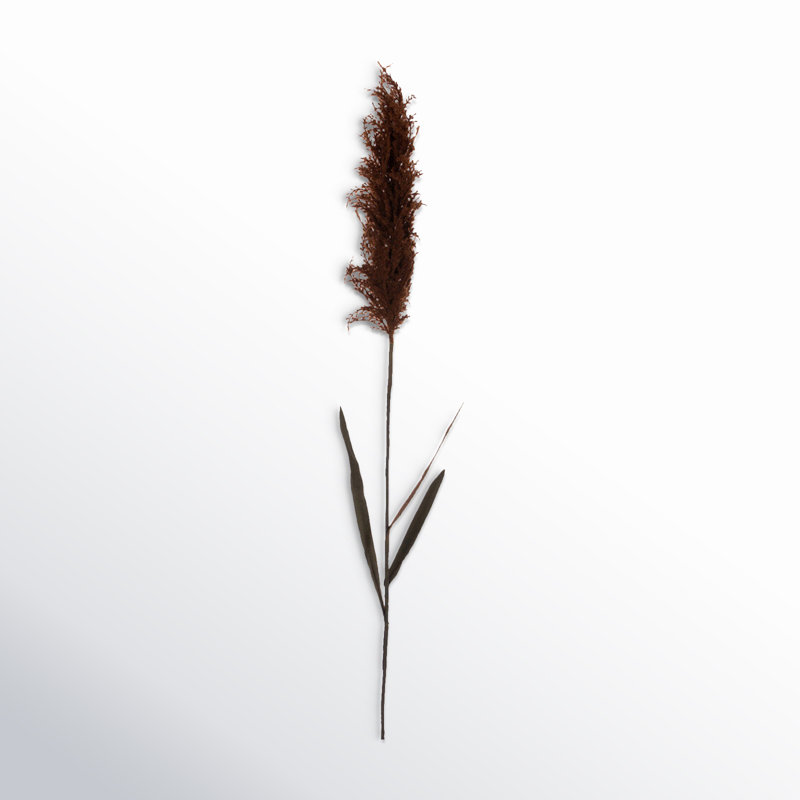 Ensemble de 2 plantes à roseaux artificiels, Brun foncé