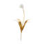 Tulip Stem-62507398